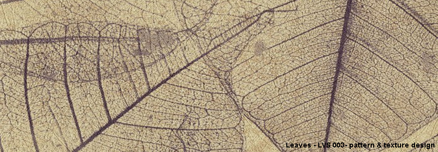 Leaves - Newmor Contract